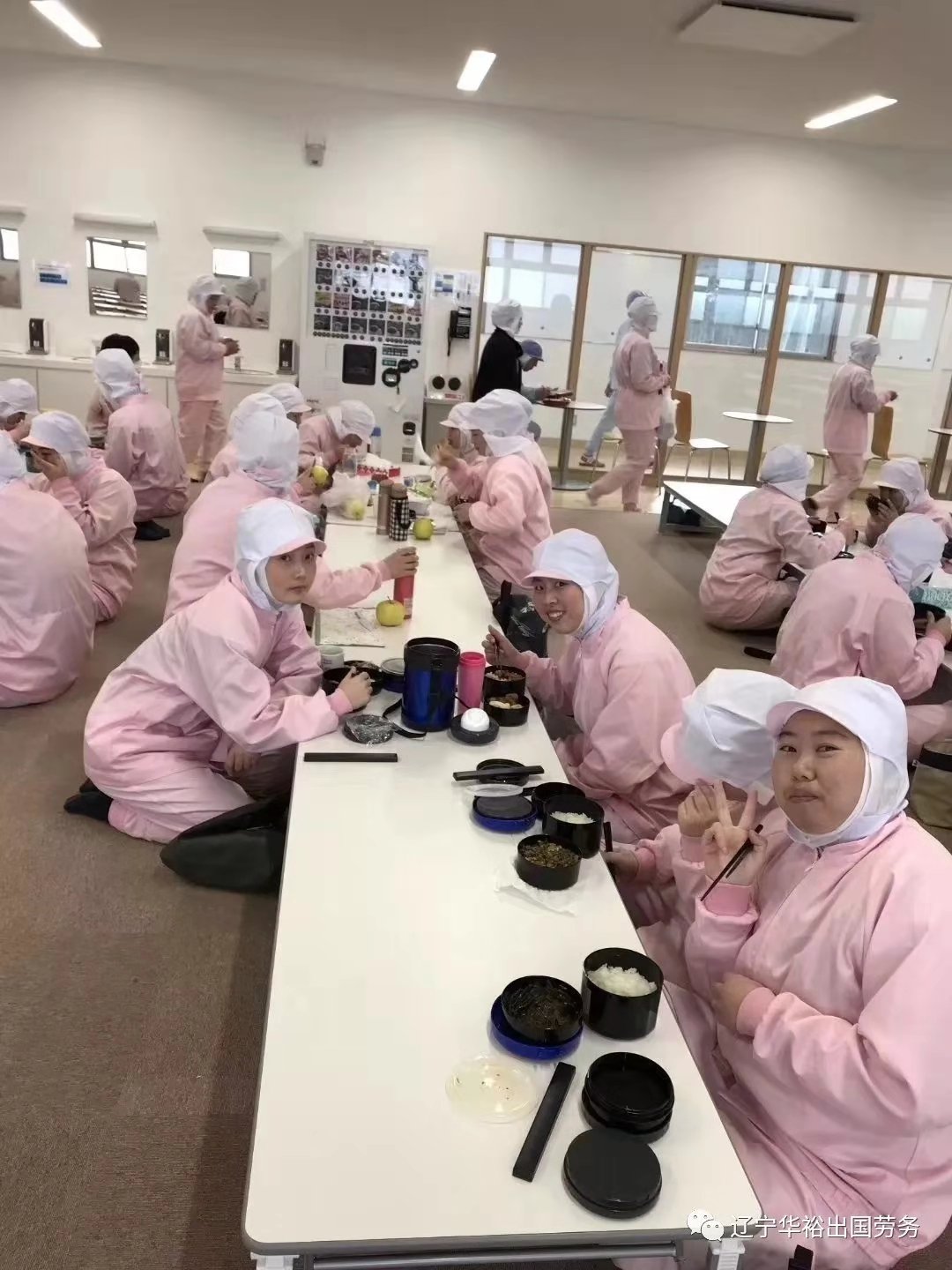 日本巖手縣雞肉加工(隨時視頻面試)